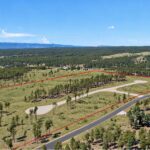 Aerial Lot Lines 1 9.22.26