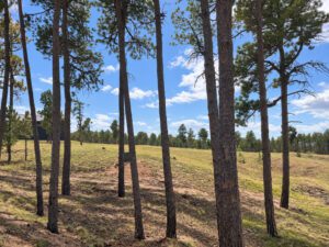 Sweeping front range views including Pikes Peak. Sprawling 5 acre gated, private homesite for estate lifestyle living.