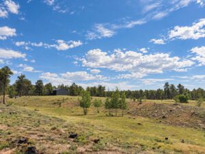 Sweeping front range views including Pikes Peak. Sprawling 5 acre gated, private homesite for estate lifestyle living.