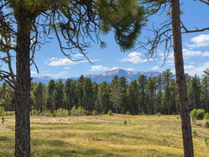 Sweeping front range views including Pikes Peak. Sprawling 5 acre gated, private homesite for estate lifestyle living.