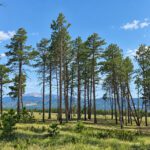 Lot Photo 20
