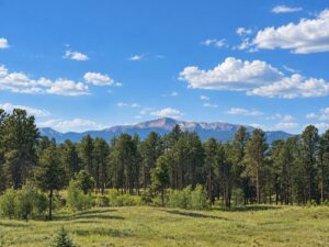 Sweeping front range views including Pikes Peak. Sprawling 5 acre gated, private homesite for estate lifestyle living.